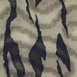 Caïman