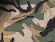 Forêt