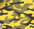 Prestige 1