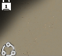 Prestige 2